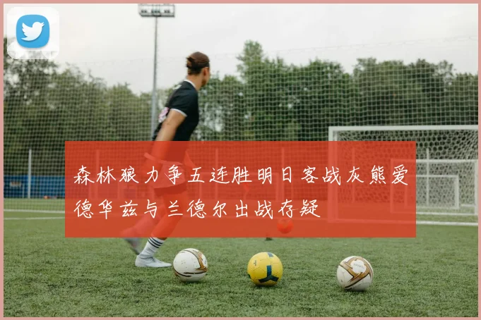 森林狼力争五连胜明日客战灰熊爱德华兹与兰德尔出战存疑
