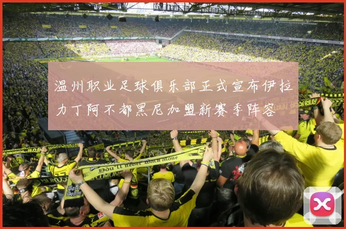 温州职业足球俱乐部正式宣布伊拉力丁阿不都黑尼加盟新赛季阵容