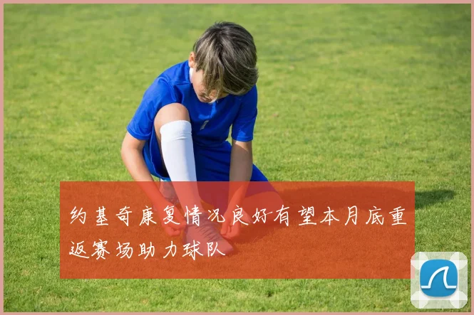 约基奇康复情况良好有望本月底重返赛场助力球队