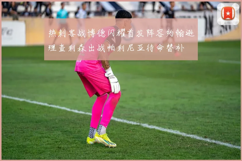 热刺客战博德闪耀首发阵容约翰逊理查利森出战帕利尼亚待命替补