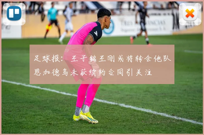 足球报：王子铭王刚或将转会他队恩加德乌未获续约合同引关注
