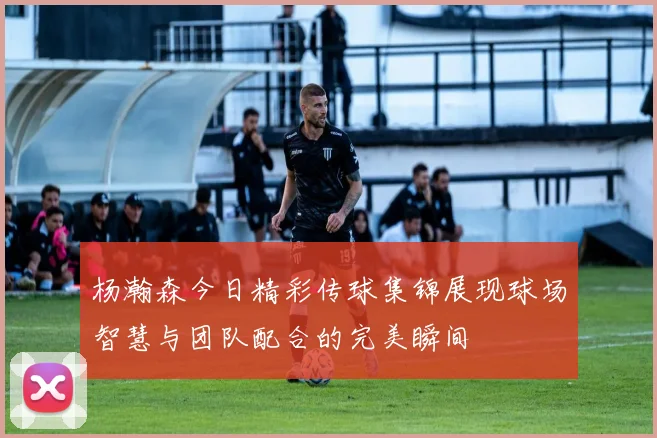 杨瀚森今日精彩传球集锦展现球场智慧与团队配合的完美瞬间